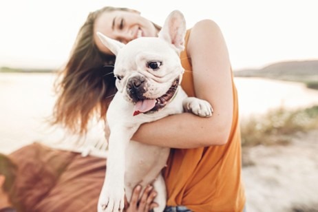 Pet friendly new luxury apartment Petaluma near Santa Rosa