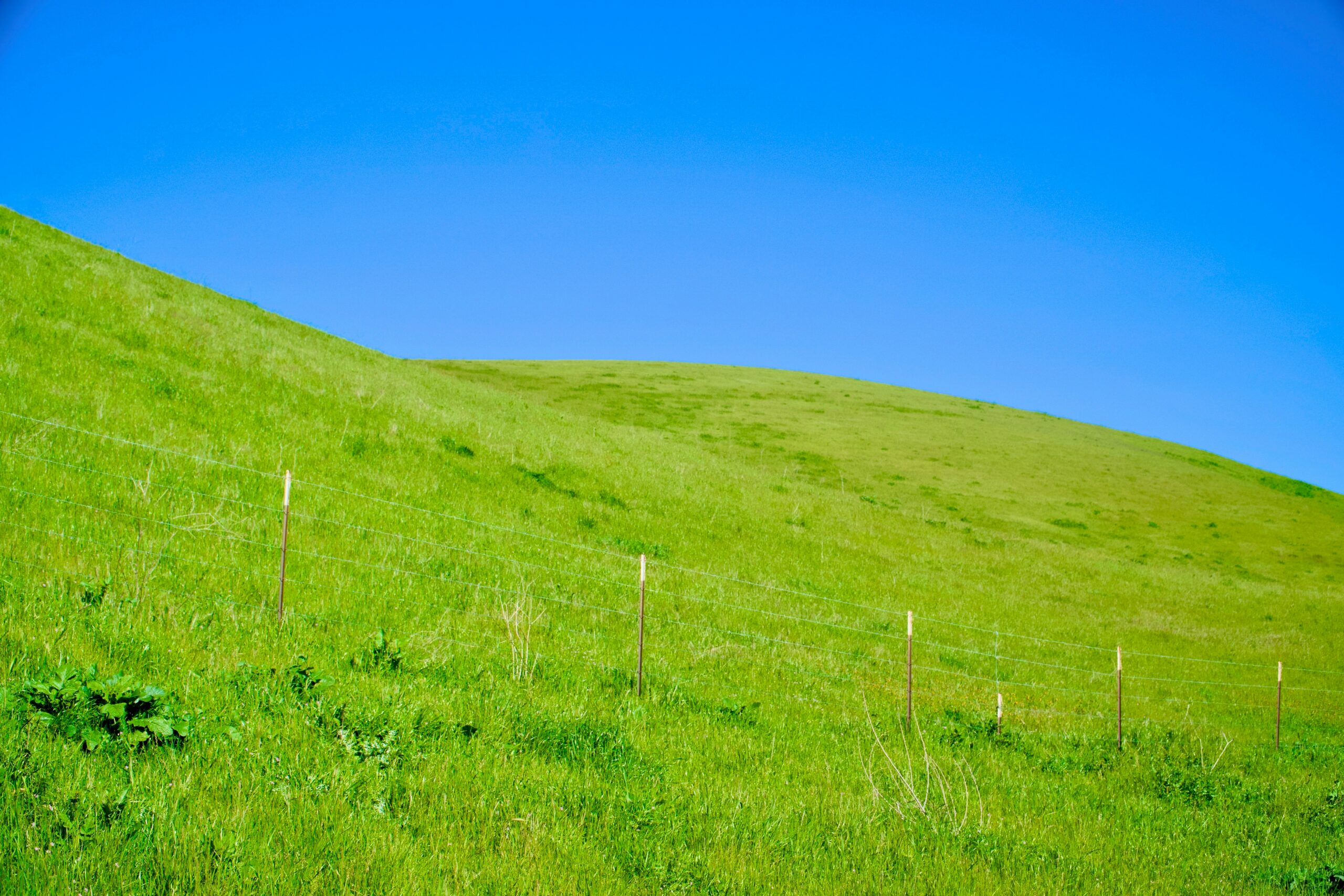 Photo by Spencer DeMera on Unsplash